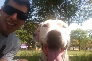 5 sinais de que seu cachorro é feliz