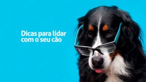 Dicas para lidar com seu cão