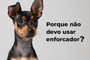 Porque não devo usar enforcador para cachorro?