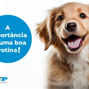 A importância de uma boa rotina