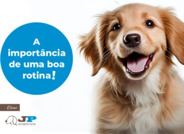A importância de uma boa rotina