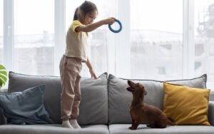 10 dicas para brincar com seu cachorro em casa