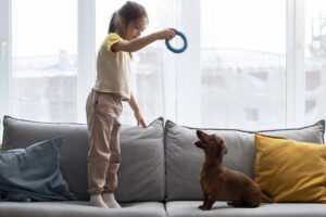 10 dicas para brincar com seu cachorro em casa