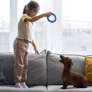 10 dicas para brincar com seu cachorro em casa