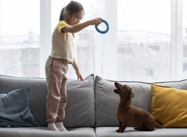 10 dicas para brincar com seu cachorro em casa